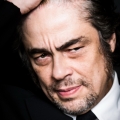 Benicio Del Toro